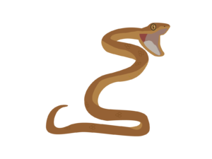 蛇に与える餌の頻度や回数 餌は鶏肉 マウス 卵どれが最適 爬虫類 両生類
