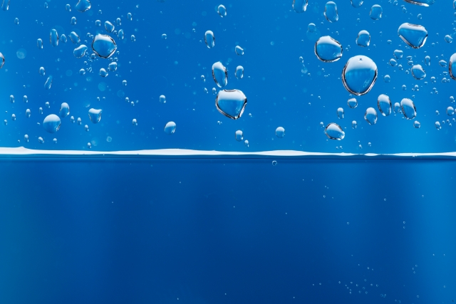 アクリル水槽の寿命は ガラス水槽の違いを解説 熱帯魚lovers