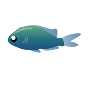 海水魚の飼いやすい代表種 どんな種類が初心者向けなの 熱帯魚lovers