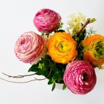 銀婚式に花を妻へプレゼント！おすすめの色や種類をご紹介！