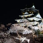 大阪城の夜桜ライトアップはいつからいつまで？チケットの有無など調査！