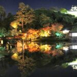彦根城のライトアップについて解説！2023年はいつやっているの？