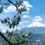 富士山は世界遺産にいつなった？登録理由や自然遺産について徹底調査！