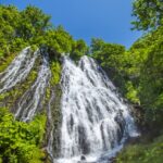 オシンコシンの滝の名前の意味は？滝への行き方やツアーについても紹介！