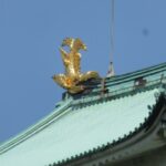 名古屋城のしゃちほこはなぜ有名？大きさはどれくらいなの？調べてみました！